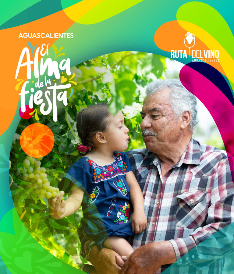 Banner Viva Aguascalientes 2