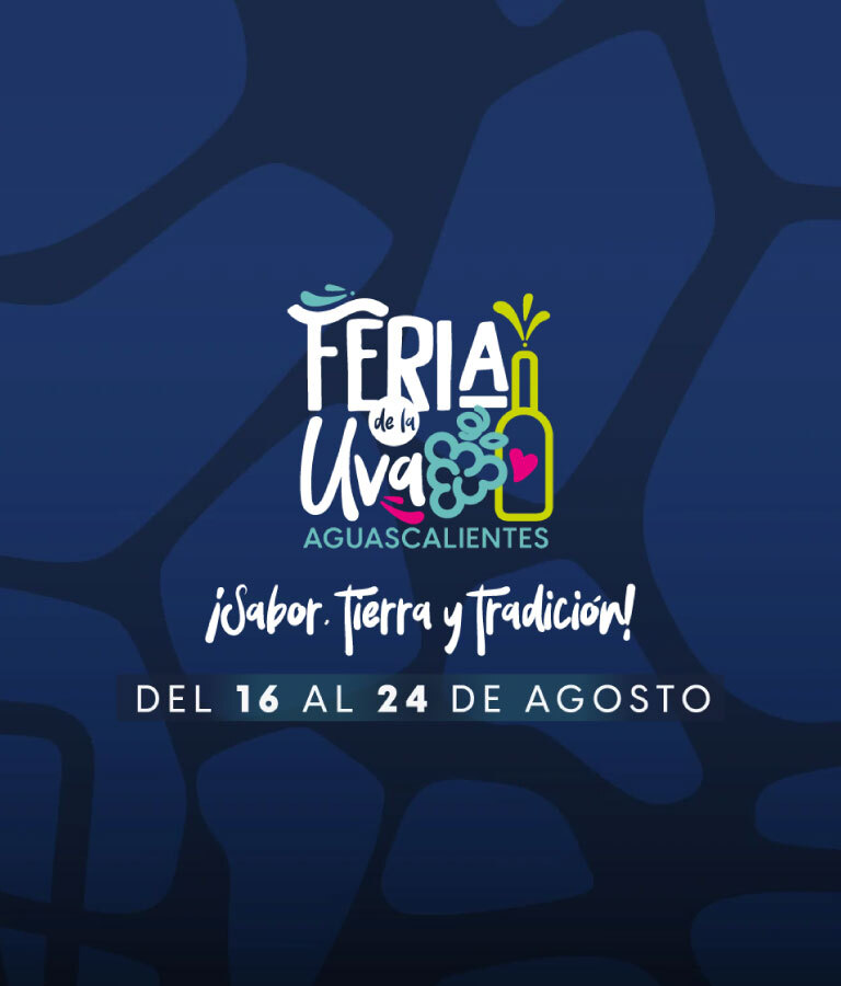 Banner Viva Aguascalientes 3