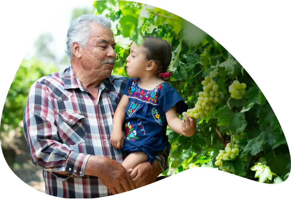 Ruta del Vino